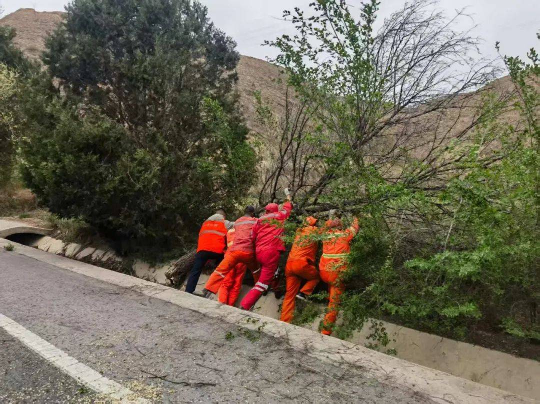 基层动态｜安定段：及时清理路面树干保畅通